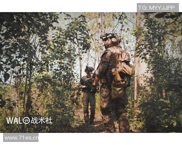 武汉排球队防反战术革新探索与实践的深度剖析与启示 武汉排球队防反战术革新探索与实践的深度剖析与启示